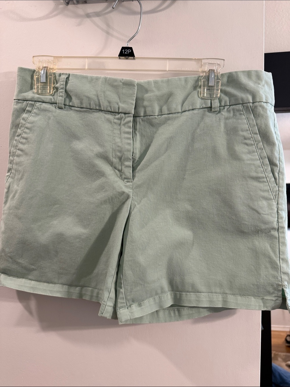 LOFT Light Mint Green Chino Shorts